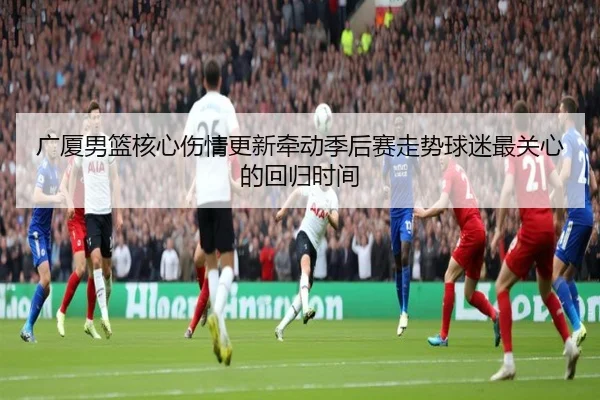 广厦男篮核心伤情更新牵动季后赛走势球迷最关心的回归时间